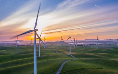 What is an Environmental Management System?